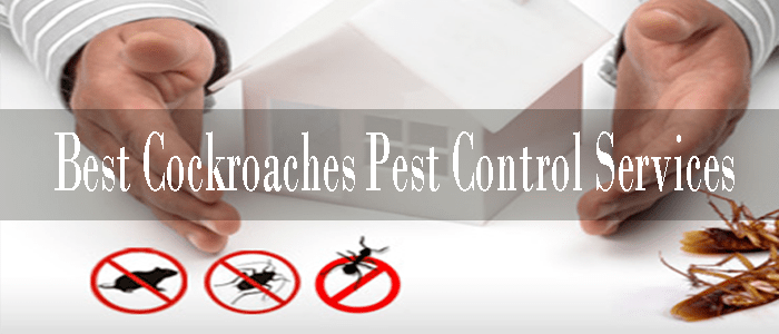 Best Cockroach Pest Control Service